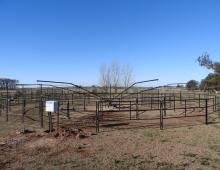 Caminador-Entrenador